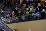 DSC_4626.JPG